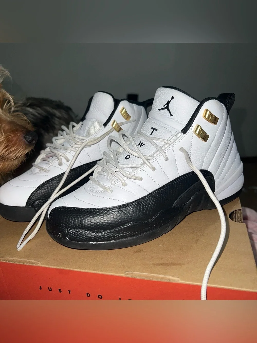 Jordan Retro High-Top Sneakers in White, Black and Gold